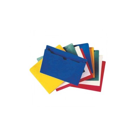 FOLDER EXPANDIBLE GLOBE WEIS VARIOS COLORES CON 10